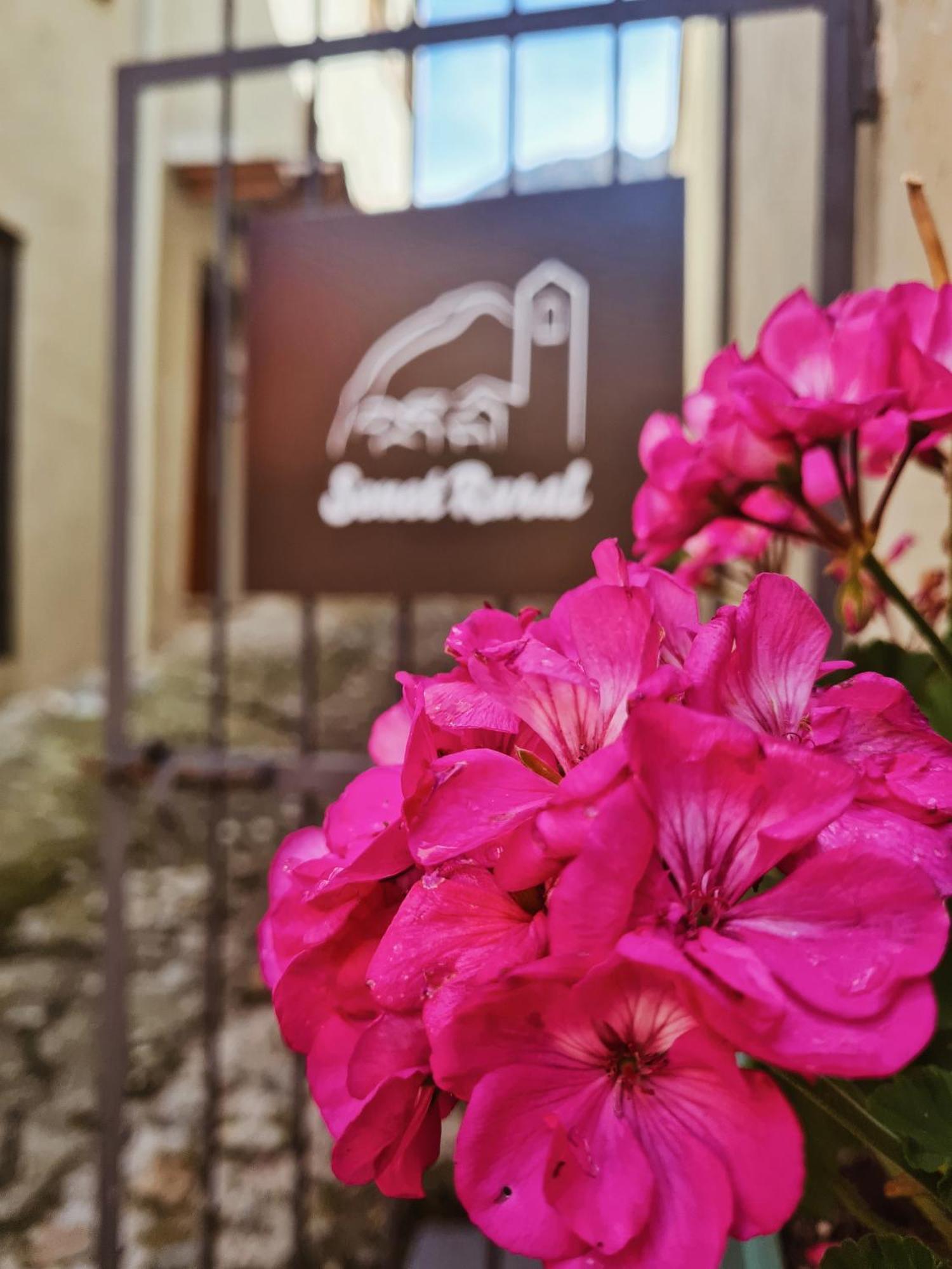 Senet Rural Apartment Екстериор снимка